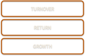 Success: turnover, return, and growth.