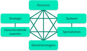 Organisatieontwerpfactoren. Organisatieontwerpfactoren.