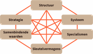 6 Soorten kennis en hun onderlinge verbanden.