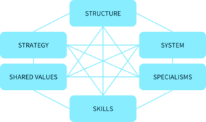 Organizational design factors. 6 Sorts of knowledge and their interrelationships