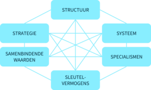 Organisatieontwerpfactoren. 6 Soorten kennis en hun onderlinge verbanden